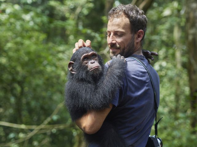 SNS에 침팬지가 자신을 구해준 남성과 감격의 재회를 나누는 영상이 게시됐다. 사진은 기사 내용과 무관함. /사진=클립아트코리아