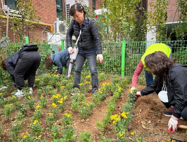 수원시 장안구 영화동 마을만들기협의회, 손바닥정원 조성 완료