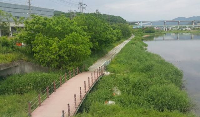 수변구역으로 지정돼 있는 포곡읍 일대