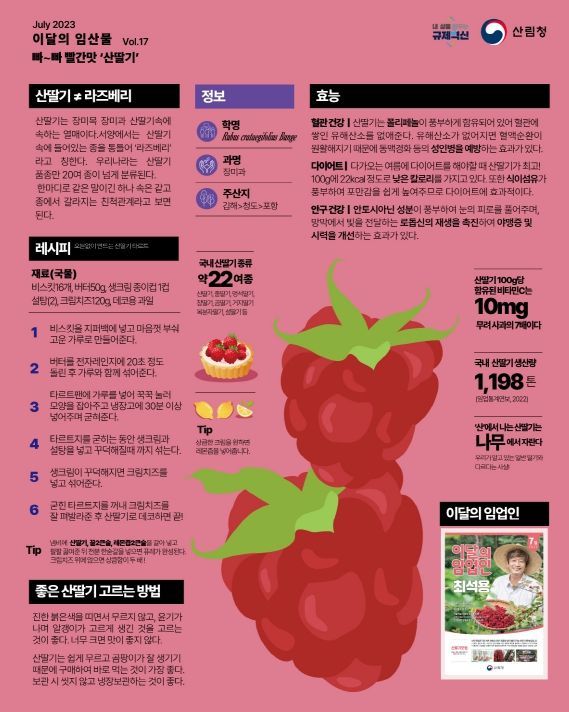 7월 이달의 임산물 ‘산딸기’