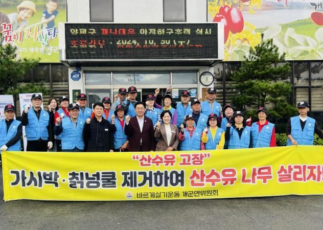 바르게살기운동 양평군 개군면위원회, 산수유수목 관리 봉사활동 펼쳐