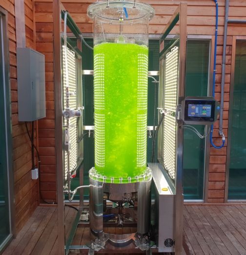 클로렐라 대량 배양기