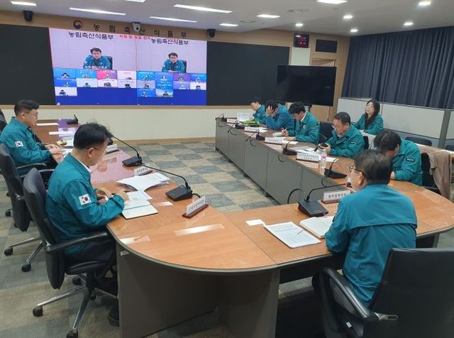 럼피스킨 방역회의