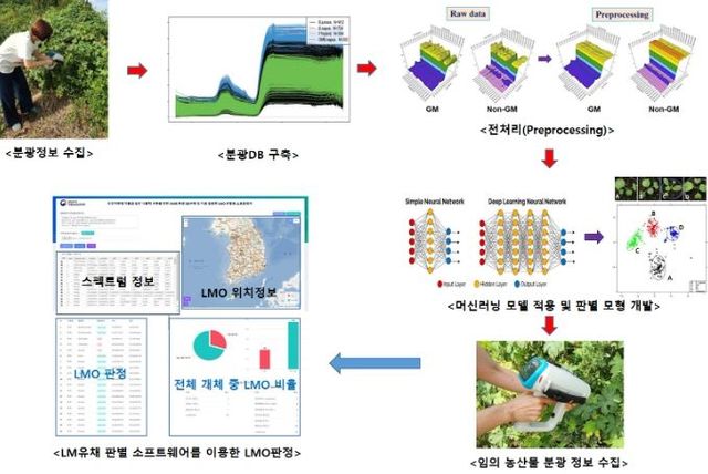 분광법 활용 GMO판별기술 개발 흐름도