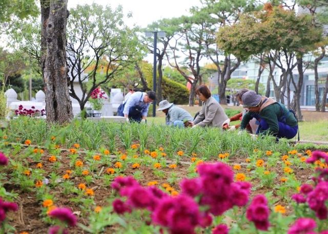 수원특례시 조경협회-손바닥정원단,「팔달구 거점정원」조성