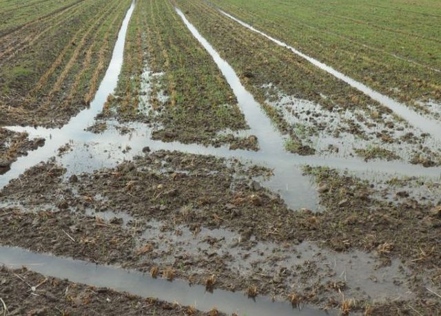 물빠짐이 불량한 포장