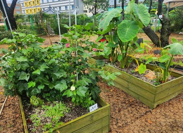 제20회 생활원예‧치유농업 중앙경진대회(학교 학습원 분야: 대상 부산광역시 송정중학교 )