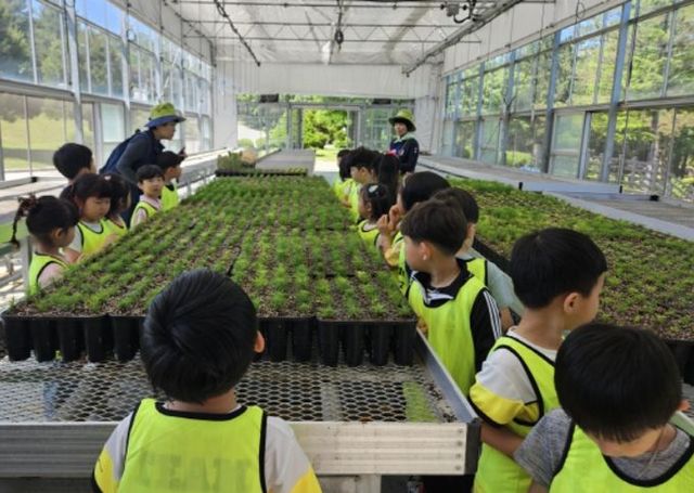 적보산 씨앗숲 숲체험 프로그램