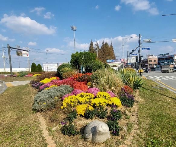 오산시, 화려한 가을 교통섬 조성