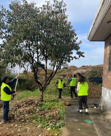 평택시 서탄면 경기행복마을관리소, “감 잡았어~ 감 수확해드립니다”