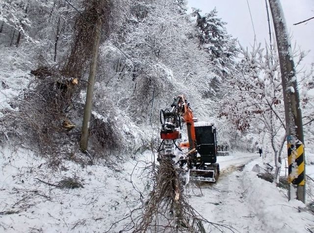 국립산음자연휴양림 쓰러진 나무 제거