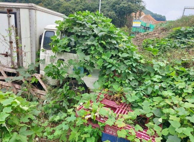 안산시 상록구, 무단방치 자동차 일제 집중 단속… 불편 해소 주력