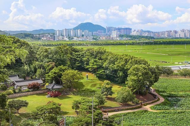 강희맹 선생이 전당홍을 심었다고 알려지는 관곡지 전경. 옆쪽으로 연꽃테마공원이 펼쳐진다
