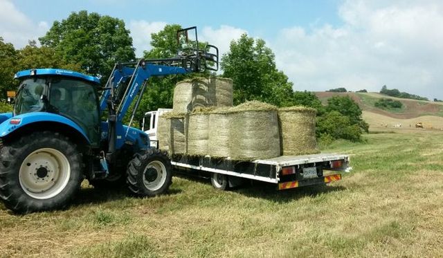 마른풀사료 수확 모습 (10월)