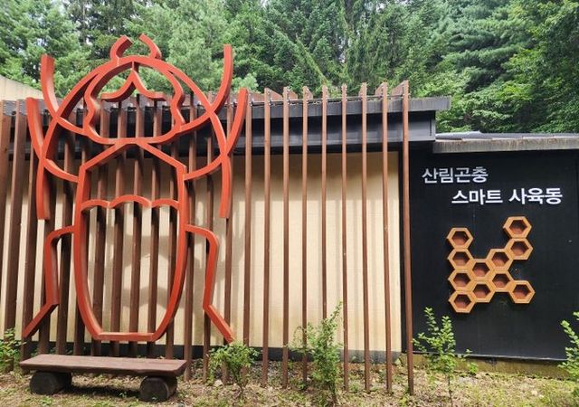 「천연기념물, 장수하늘소」, 성공적 복원 위해 국립기관 간 손 맞잡아