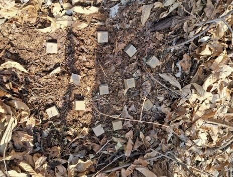 가평군, 야생동물 통한 광견병 전염 예방 총력