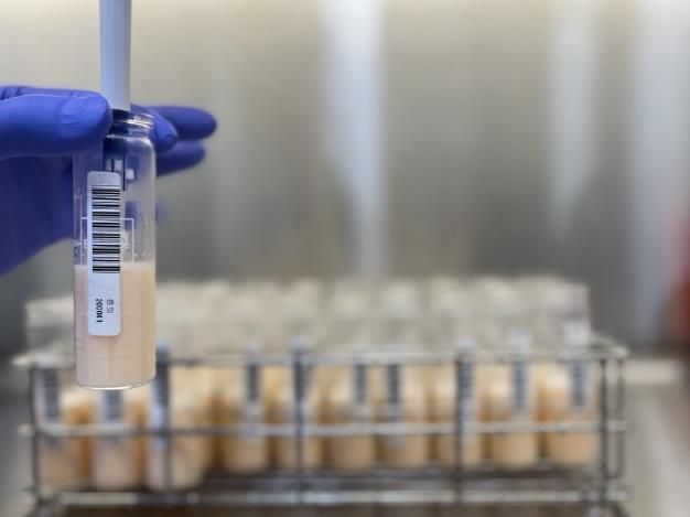 원유 인플루엔자 검사사진