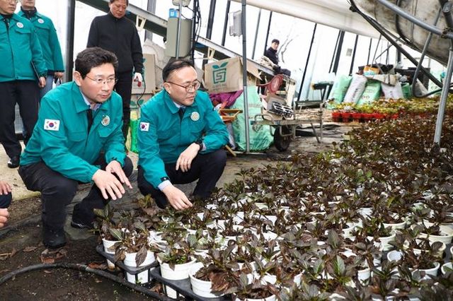 이상일 용인특례시장이 1일 이한경 행정안전부 차관과 폭설 피해를 입은 처인구 남사읍 진목리 화훼농가 현장을 점검하고 있다.