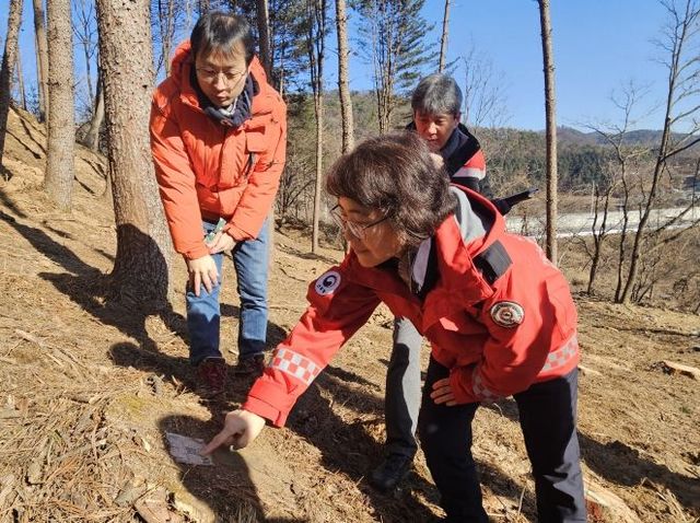 이미라 산림청 차장이 강원도 홍천군 소나무재선충 방제 사업지를 찾아 현장을 점검하고 있다. <p>