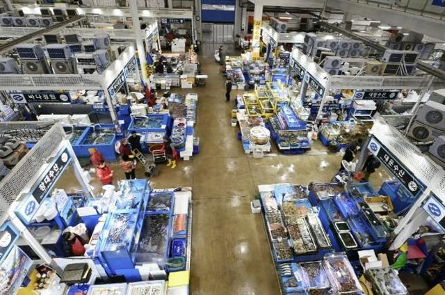 수원시농수산물도매시장