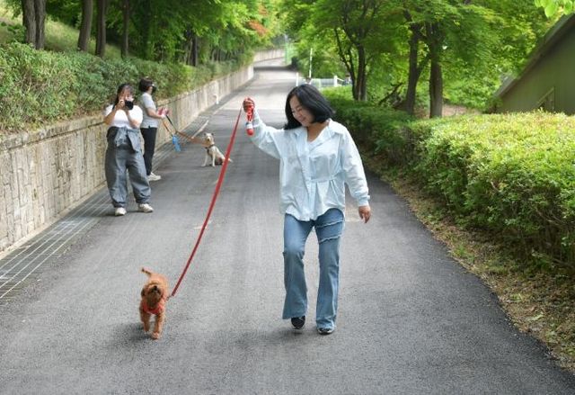 동반 산책(지민희 양평군의회 의원)