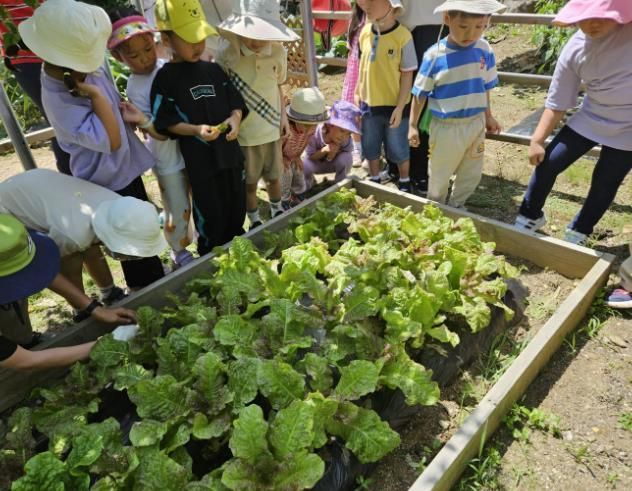 가평군, “힐링 치유센터 ‘숲의약속’ 인기만점”