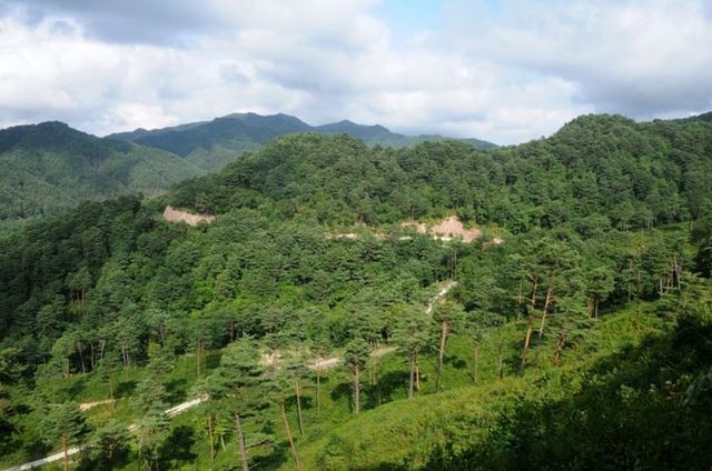 영양 생태경영림