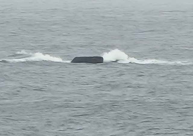 해안에서 본 암초 전경(강원 고성군 현내면 대진해변 인근)