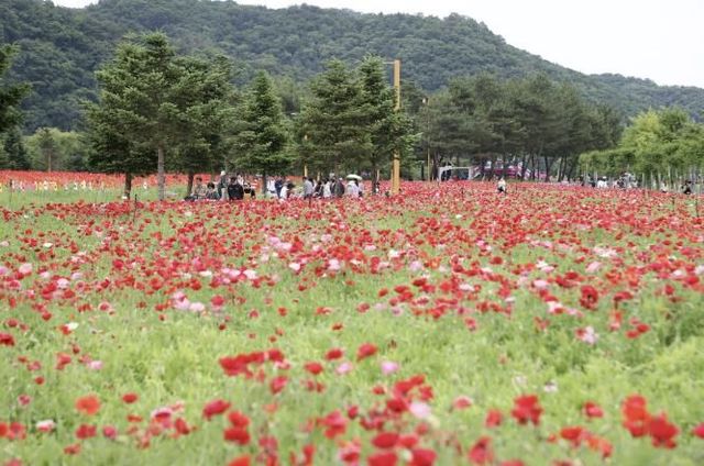 가평군, ‘생활인구’ 55만여명… 지역경제 발전 ‘청신호’