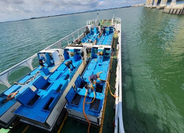 평택시, 넙치 치어 70만 마리 방류