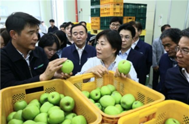 대구 군위군 햇사과 출하 현장 방문한 송미령 장관