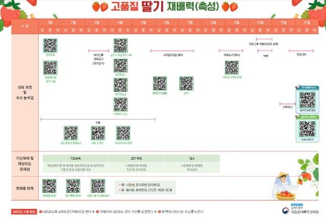 딸기 맞춤형 디지털 재배력