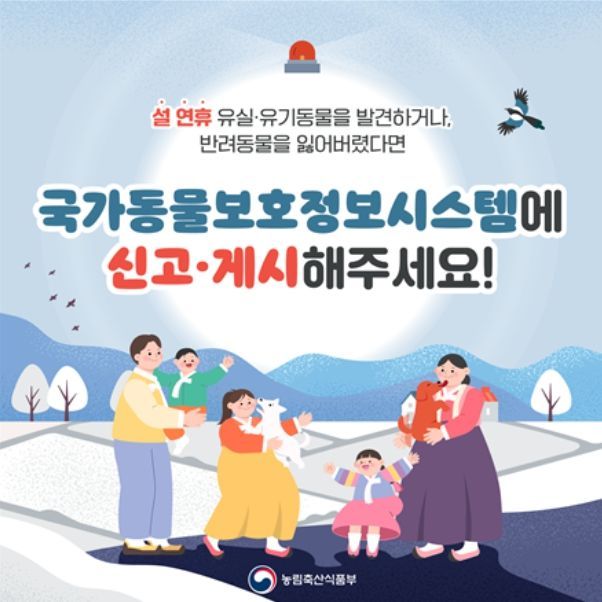 유실·유기동물 구조통합신고 안내 카드뉴스