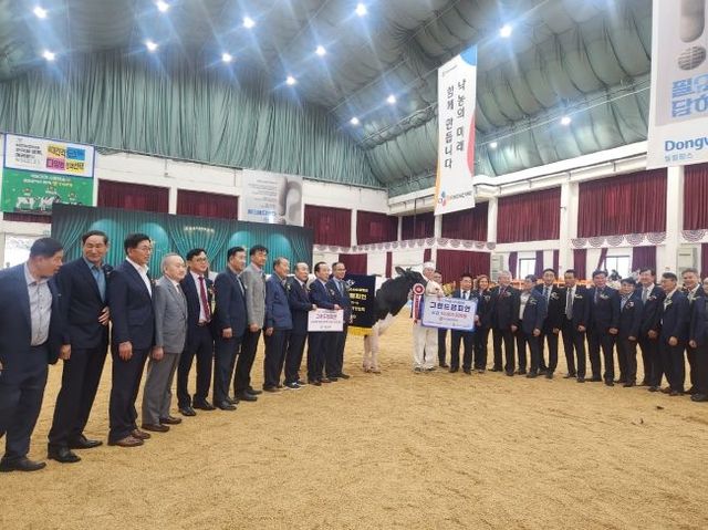 한국홀스타인품평회