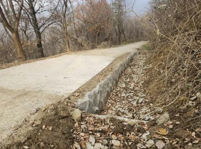 모현읍 왕산리 태교숲길 정비 완료 후 전경