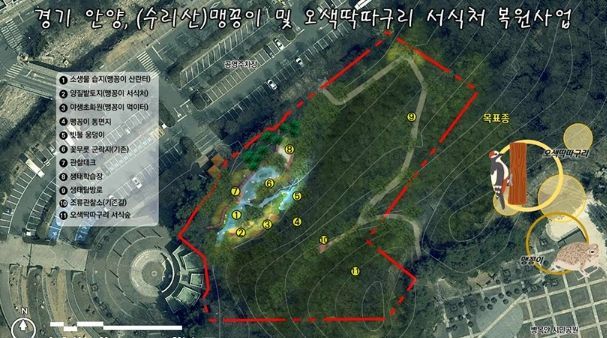 안양시, 병목안시민공원 맹꽁이・오색딱따구리 서식처 복원…국비 4.4억 확보