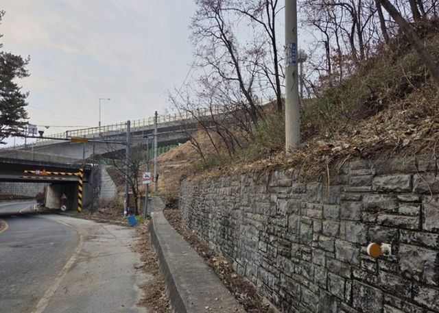 남양주시, 양정동 도심 가시박 제거로 생태환경 개선(제거 후)