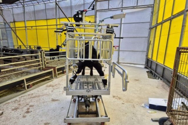 염소 다용도 보정틀