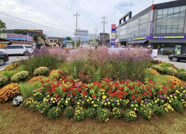 회전교차로 현장사진