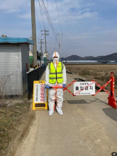 고병원성 조류인플루엔자 확진에 따라 방역 강화