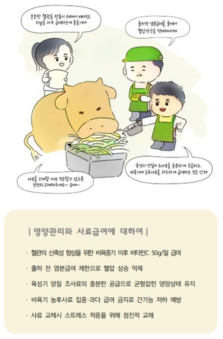 사육․운송․도축 단계별 관리(사육단계 - 영양관리와 사료급여, 매뉴얼 발췌)