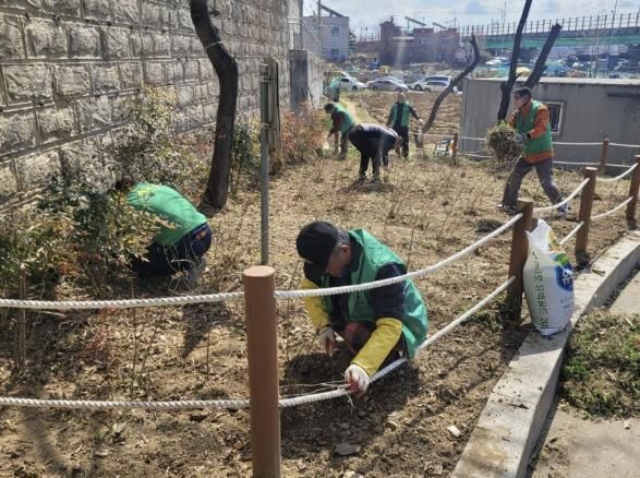 꽃향기 가득한 시흥시 신현동, 주민 손으로 '수국정원' 조성