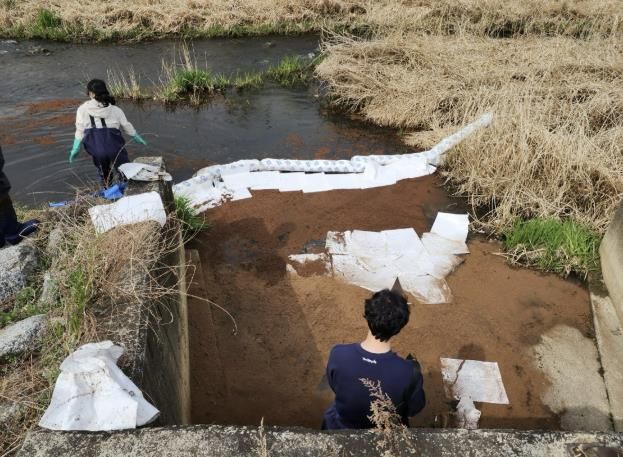남양주시 별내동, 용암천 수질오염 신속 대응…시민 휴식공간 지켰다