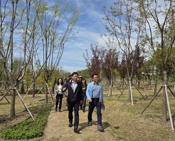 탄소중립 도시숲 추진상황을 점검하고 있는 모습