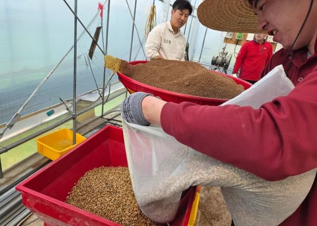 여주시, 지역대표 품종 개발을 위한 3년차 시험시작