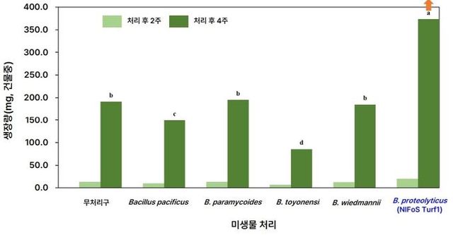 미생물 처리에 따른 생장량 비교 그래프