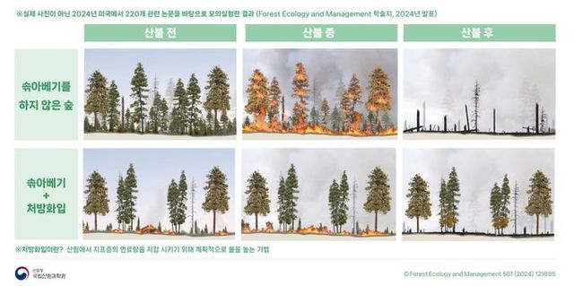 대형산불을-예방하는-숲가꾸기-모의실험