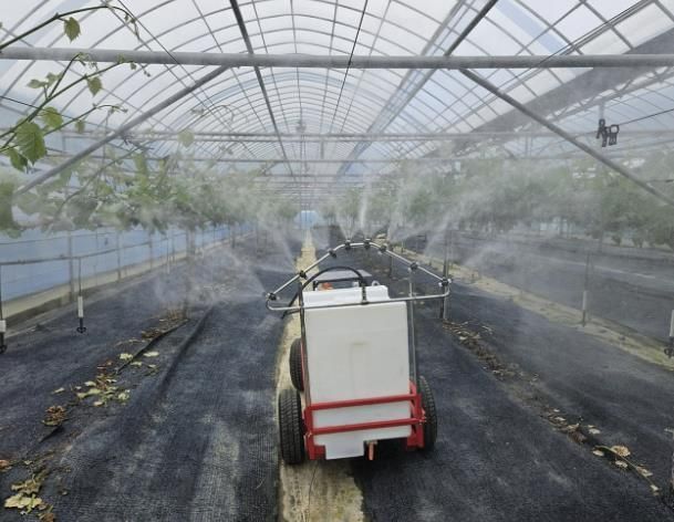 포도 농가에 보급된 '포도 과수원용 맞춤형 다목적 스마트 방제기