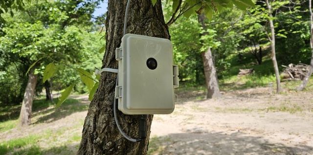 도시 나무 쓰러짐 위험 관리 시스템 설치