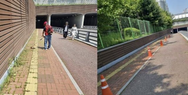 수원시 영통구, 도로 잡초제거 및 시설물 정비 통해 도시미관 개선